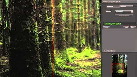 Dfine User Interface in Aperture