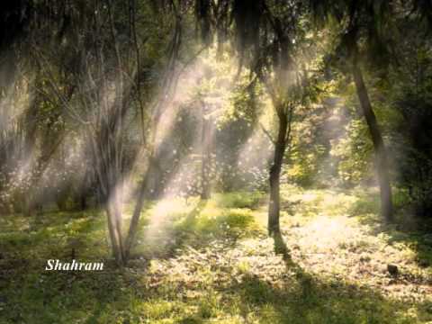 آرزوی فردا Maziar 