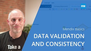 Data Validation and Consistency in the Mendix Low-code Platform