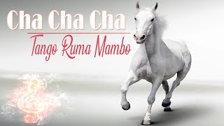 (GOLDEN) Cha Cha Cha Latin Music | Tango - Rumba - Mambo Instrumental Music 2023