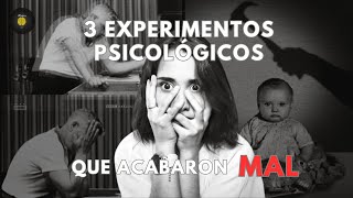 3 Experimentos psicológicos que ACABARON MAL by Tdcaceres 624 views 4 months ago 7 minutes, 50 seconds