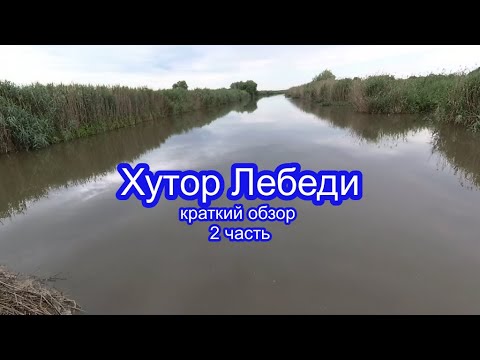 ген лебедя на стадионе белгород. взлетающий лебедь фото. погода в лебедях калининского. летний сад в санкт-петербурге карпиев пруд. 61 лебедя сейчас.