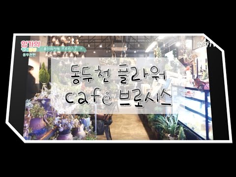 동두천 플라워카페 브로시스 Flower cafe brosis