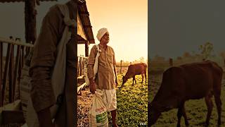 How Organic Farming Changed Everything Healthy Soil Healthy Future
