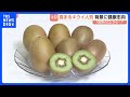 輸入量が年々増加!おいしいキウイの見分け方 ポイントは…「長男を選べ」!|TBS NEWS DIG