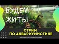 Стрим по аквариумистике 26.04.2020