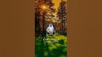 تلاوة من #سورة_البقرة بصوت القارئ مشاري فالح