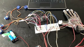 Digital Glove