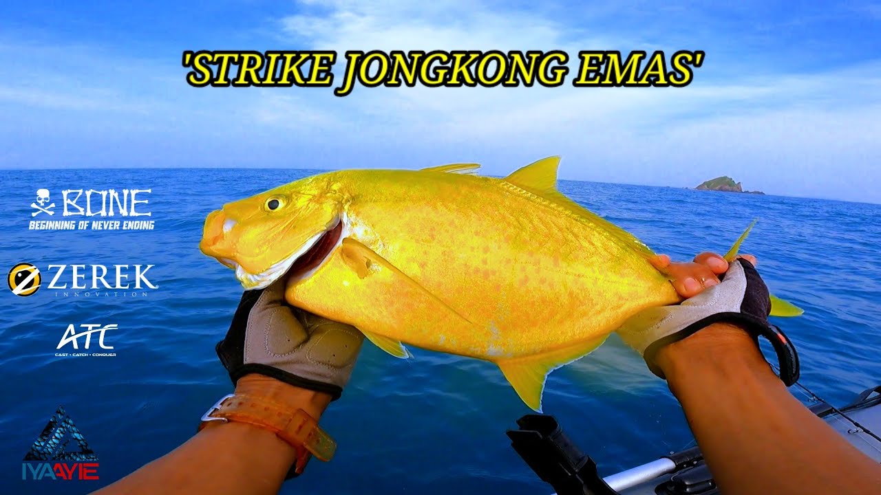 STRIKE IKAN SEAKAN EMAS..INFLATABLE BOAT FISHING MALAYSIA!! VLOG [041]