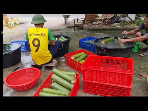 Video xưởng sản xuất Rượu Ống Tre lớn nhất Việt Nam - youtube