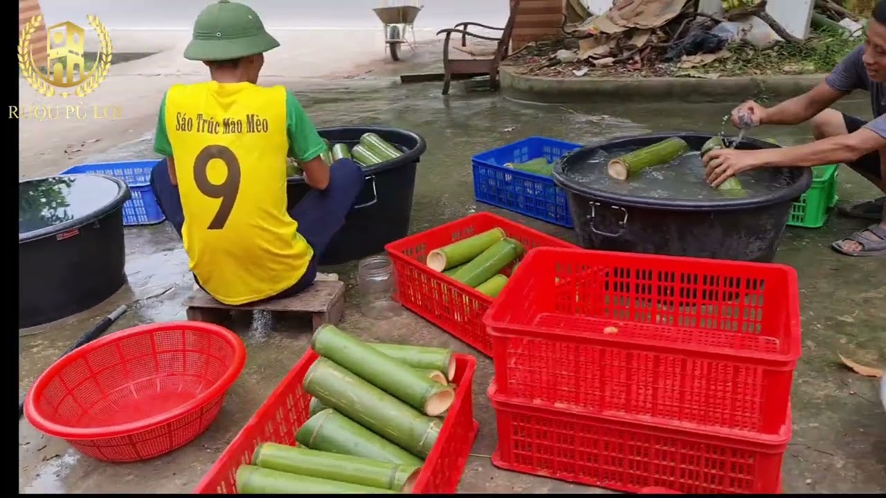 xưởng sản xuất Rượu Ống Tre lớn nhất Việt Nam