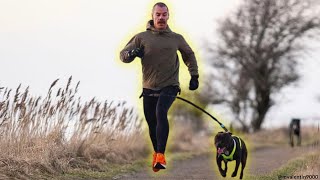 Why You Live Longer And Healthier With A Staffy