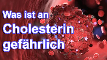 Was bedeutet ein Cholesterinwert von 240?