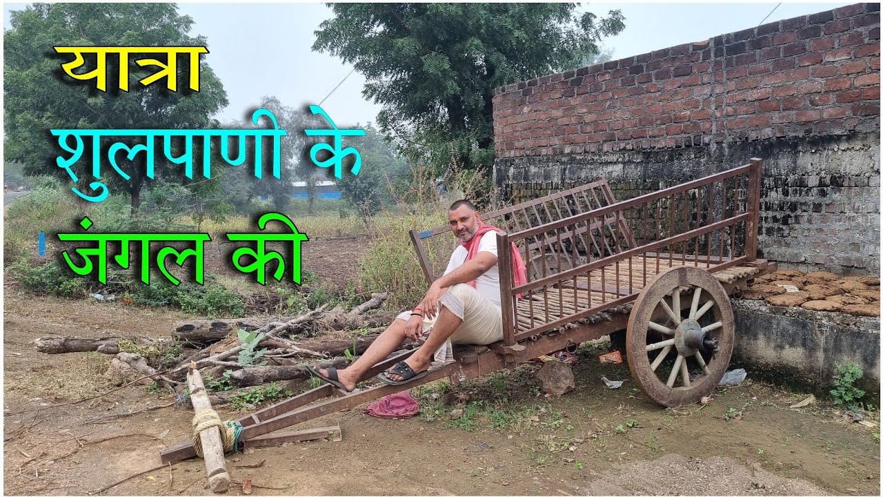 शुलपाणी झाड़ी | नर्मदा परिक्रमा 2023 | दिन-15 | भाग-2 | बिजासन से बोरखेड़ी | Simple marg