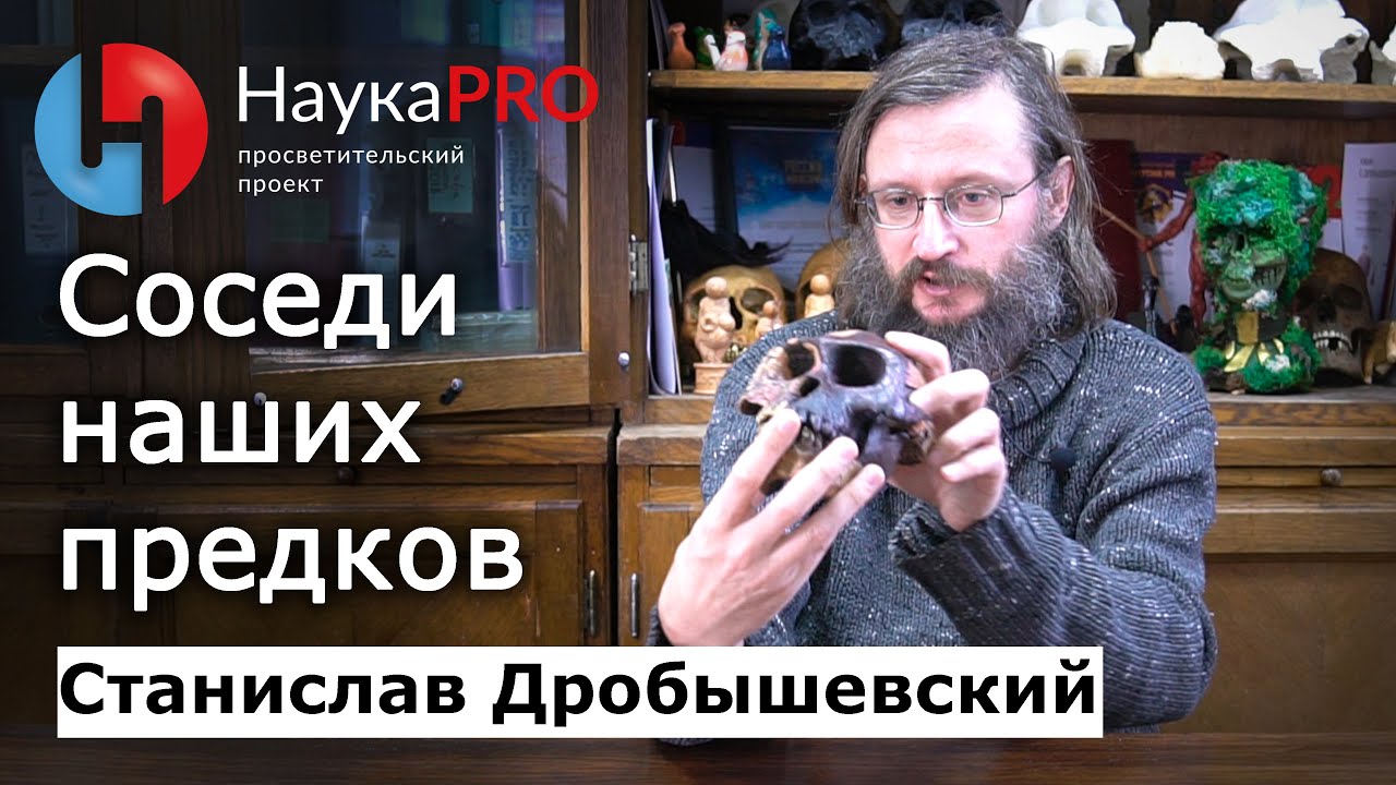 Соседи наших предков: мирные и опасные – Станислав Дробышевский | Лекции по антропологии | Научпоп