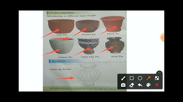 Nursery to a visit, Planting a sapling in a pot{Optional activities} Play do learn Std -2