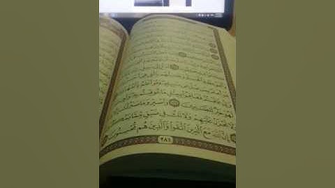 تلاوة جميلة بصوت الشاب أنس محمدين