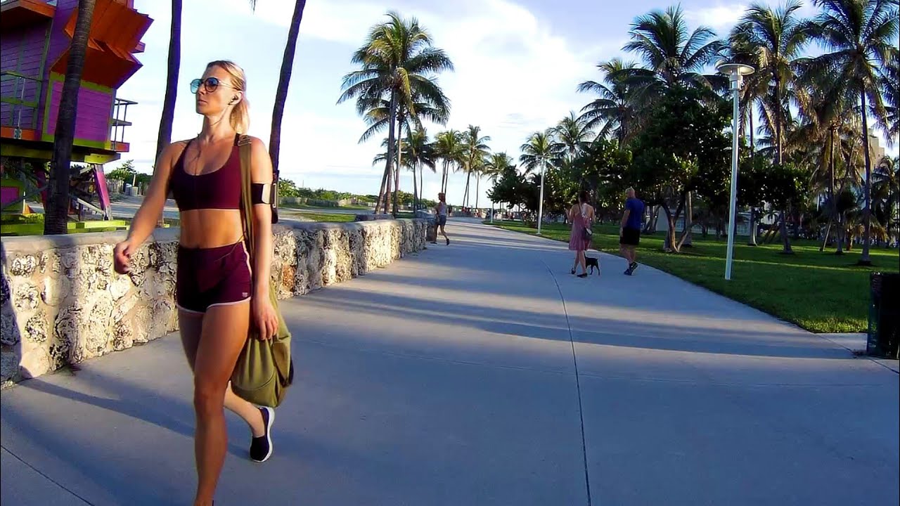 camera iphone 8 plus apk Gorgeous Lummus Park on Beautiful South Beach, Best Boardwalk, Miami Beach, Florida