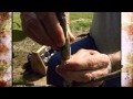 Grafting Pecan Trees