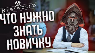 Всё что нужно знать от покупки до эндгейм контента в New World!