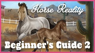 Horse Reality Beginner's Guide  Let's Play #2