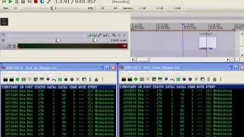 Reaper Bug: Recording Looping MIDI