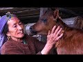 RURAL LIFE IN SIKKIM, INDIA  ||  Part  -  32