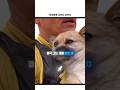 울트라 마라톤에 나타난 강아지 🐕😍 thumbnail