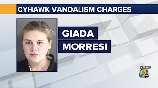 Des Moines woman faces more than a dozen charges for alleged vandalism of law enforcement vehicle...
