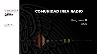 Career Overview INEA INPI Programa 11 2020