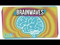 What Do Different Brainwaves Mean?