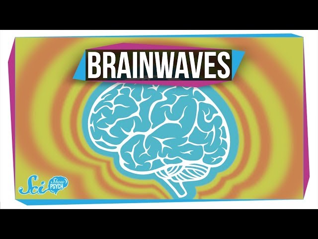 What Do Different Brainwaves Mean? class=
