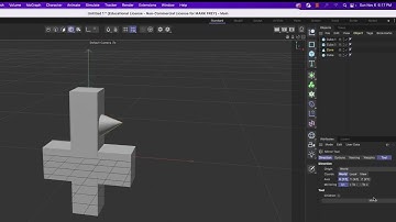 Cinema 4D Video 5 The Mirror Tool