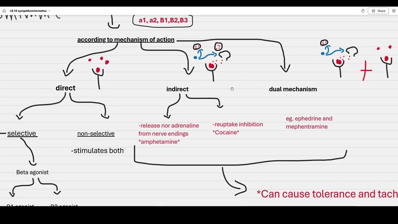 General pharmacology L8,9 sympathomimmetics