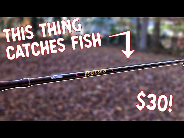 The ONE Ultralight Rod that CATCHES FISH! The OKUMA CELILO Ultralight Rod 