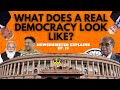 What does a real democracy look likenewshamster explains ep15