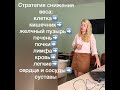 Микробиота