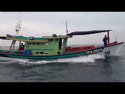 Video: Keluar Ke Laut