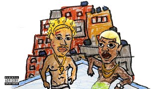 8. - Tz Da Coronel E Mc Cabelinho Visualizer