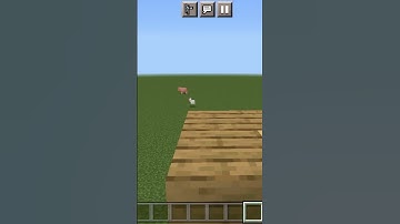 stairs ILLUSION Minecraft Animation #shorts