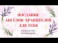 Послание АНГЕЛОВ - ХРАНИТЕЛЕЙ для тебя! Узнай свою судьбу. Расклад Таро для тебя