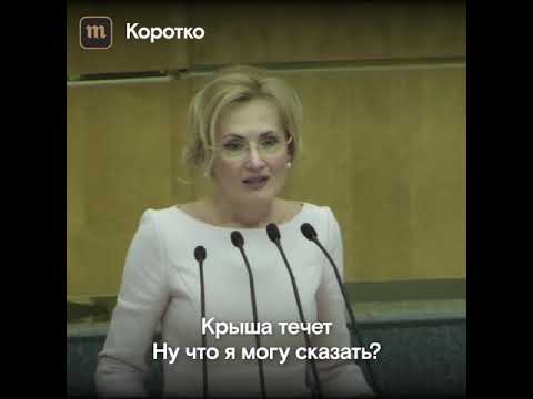 В Госдуме протекла крыша на выступлении Ирины Яровой