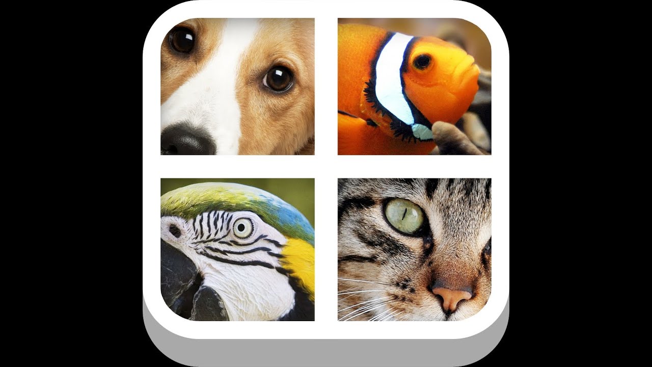 100 Pics Football Logos Level 71-80 Answers 100 Pics Football Logos Level 71-80 Answers