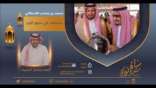 مسيان | لقاء محمد بن فهاد بن جخدب القحطاني