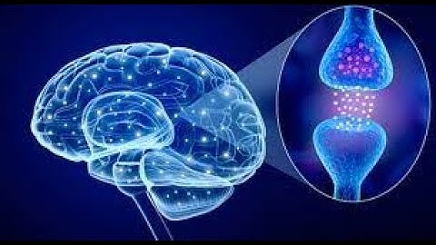 Machine Learning Aiding in the Diagnosis of Parkinson