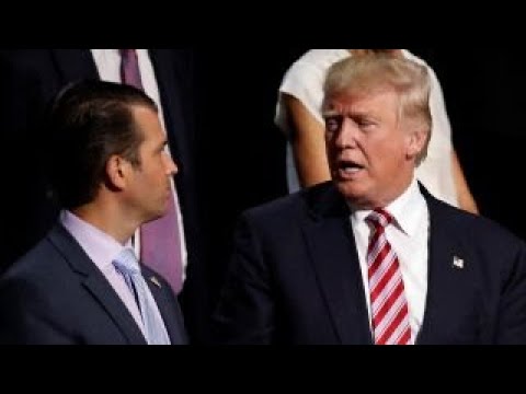 Donald Trump Crafted Son S Statement Donald Trump Crafted Son S Statement
