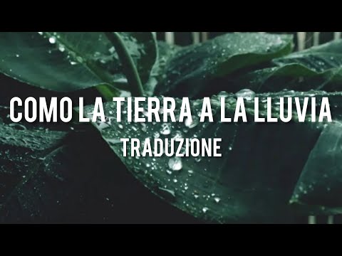 Daniel Santacruz – Como La Tierra A La Lluvia – traduzione