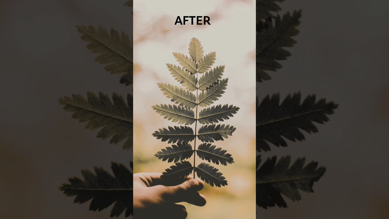 Lightroom Mobile presets | 