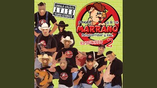 Video thumbnail of "Grupo Marrano - El Vergazo"