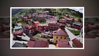 Stoccareddo Dallalto Altop. Asiago 2018 Bugs2